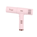 Blush L'ange Le Styliste Luxe Digital Salon Dryer